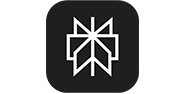 Perplexity AI Search Platform