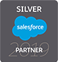 Silver Salesforce Partner